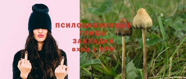 кокс Балабаново