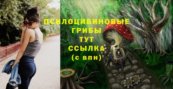 сатива Осташков