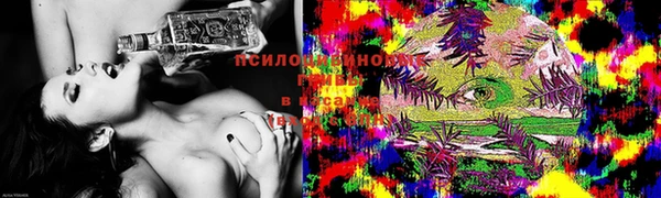 крисы Балахна